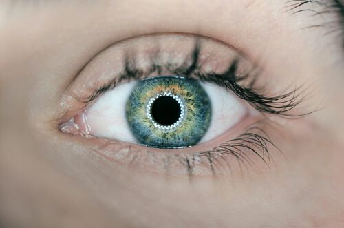 15 interesting facts about the human eye